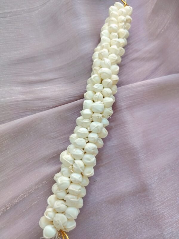 jasmine flower